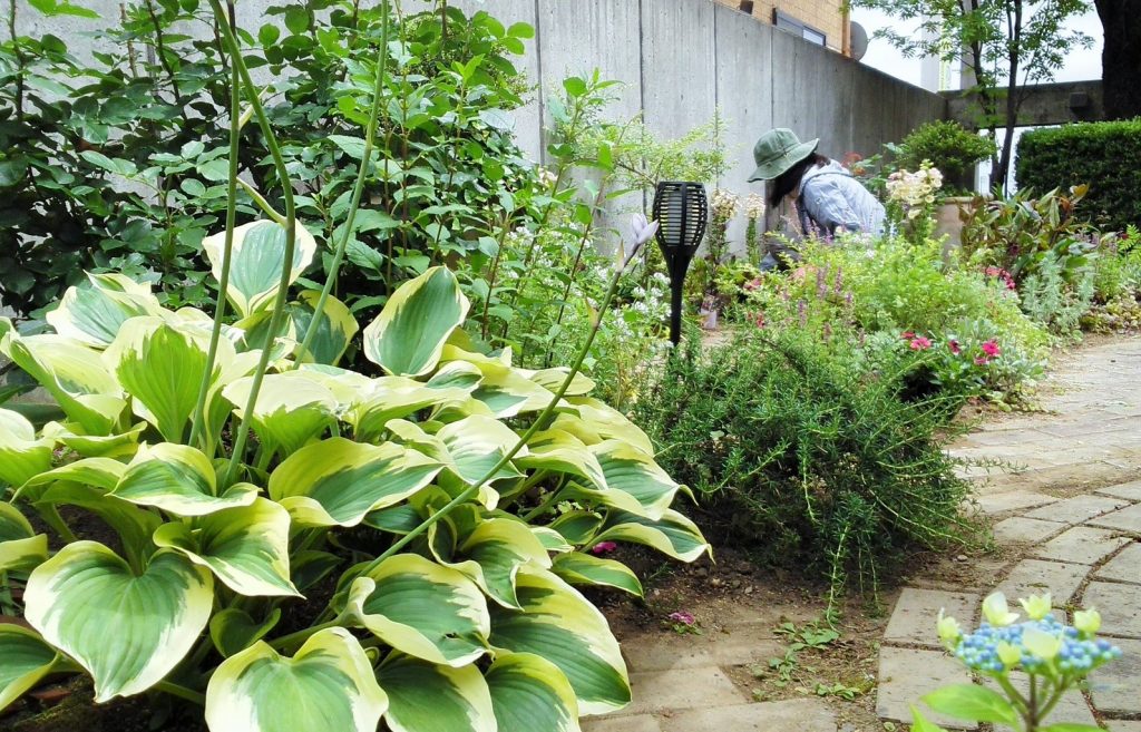 4月 9月 フリーランス インターン ガーデン編 新潟市 ガーデニング 植栽デザイン ビジネス 起業 みどりデザイン研究所
